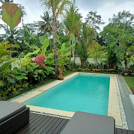 Adi Laxmi Villa Ubud Kültér fotó