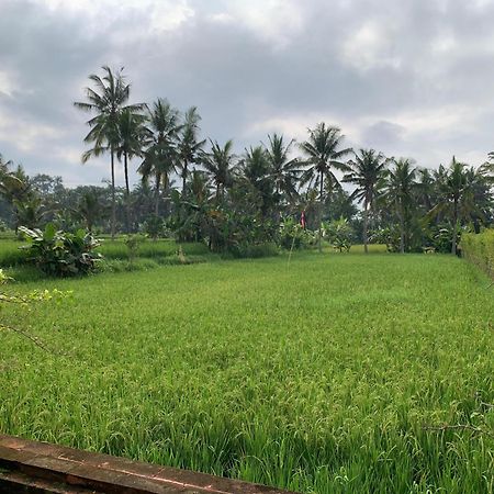 Adi Laxmi Villa Ubud Kültér fotó