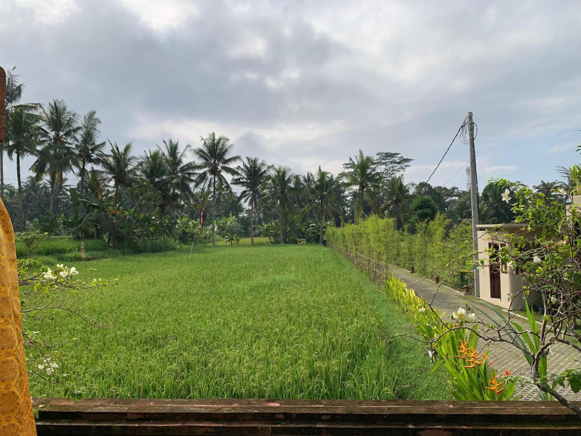 Adi Laxmi Villa Ubud Kültér fotó